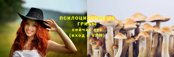 не бодяженный Аркадак