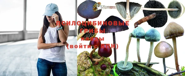 не бодяженный Аркадак