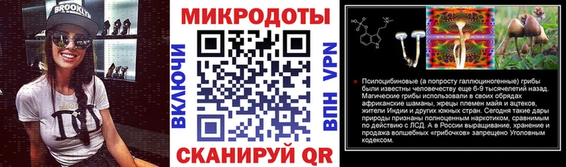 Псилоцибиновые грибы Psilocybine cubensis  что такое наркотик  Луза 